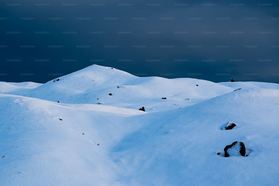 山谷黑山羊 致富“好宝物”